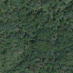 Satellite imagery of Alldridge Point, CA