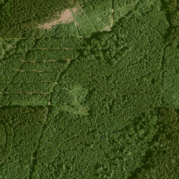 Satellite imagery of Kohlberg, DE