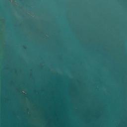 Satellite imagery of Weaver Point, US