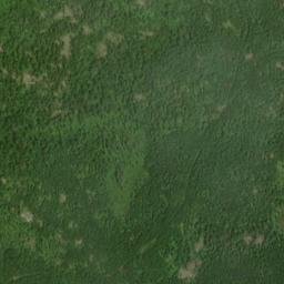 Satellite imagery of Tower Mountain, CA