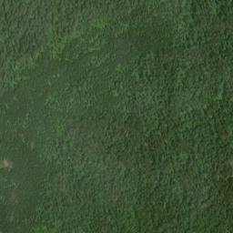Satellite imagery of Tower Mountain, CA