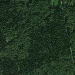 Satellite imagery of Rappenstein, DE