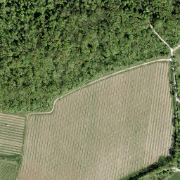 Satellite imagery of Bisamberg transmitter, 120 metres mast, AT