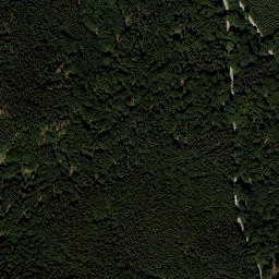 Satellite imagery of survey_point, AT