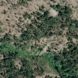 Satellite imagery of Adams Point, US