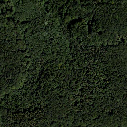 Satellite imagery of Wolfpassinger Berg, AT
