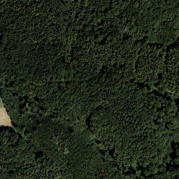 Satellite imagery of Wolfpassinger Berg, AT