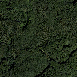 Satellite imagery of Wolfpassinger Berg, AT