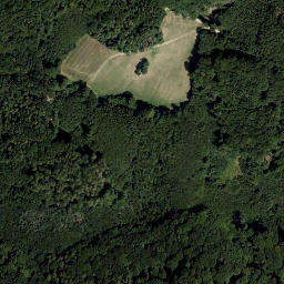 Satellite imagery of Wolfpassinger Berg, AT