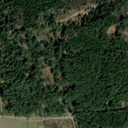 Satellite imagery of Tann, DE