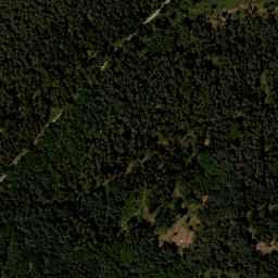 Satellite imagery of Schellenberg, DE