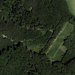 Satellite imagery of survey_point, AT