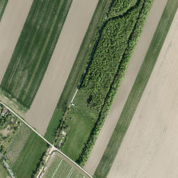 Satellite imagery of NLY, AT