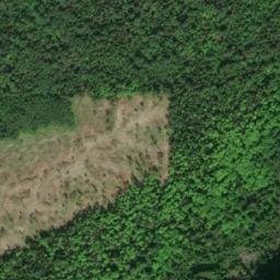 Satellite imagery of Mount McQuaig, CA