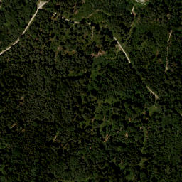 Satellite imagery of Schellenberg, DE