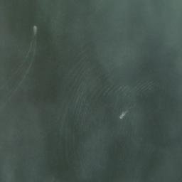 Satellite imagery of Hawkins Point, US