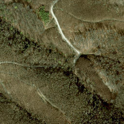 Satellite imagery of Hermannskogel, AT