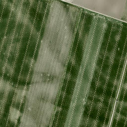 Satellite imagery of NFG, AT