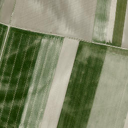 Satellite imagery of NFG, AT