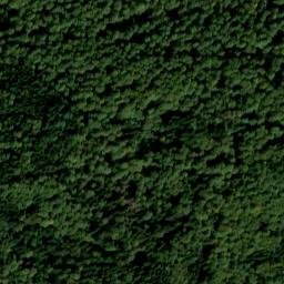 Satellite imagery of Bannholz, DE