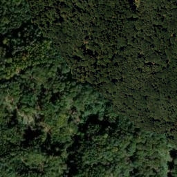 Satellite imagery of survey_point, AT