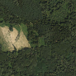 Satellite imagery of Reutberg, AT