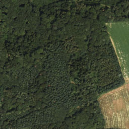 Satellite imagery of Reutberg, AT
