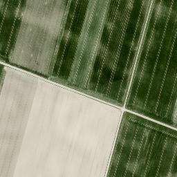 Satellite imagery of NFG, AT