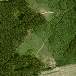 Satellite imagery of Gänsberg, DE