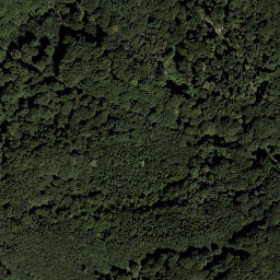 Satellite imagery of Rauchbuchberg, AT