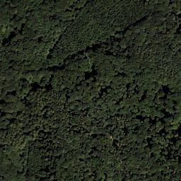 Satellite imagery of Rauchbuchberg, AT