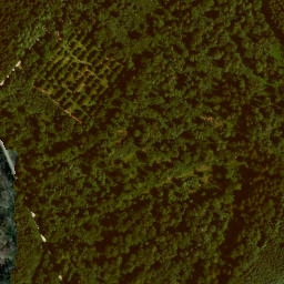 Satellite imagery of Faulberg, DE