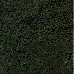 Satellite imagery of Mauereck, AT