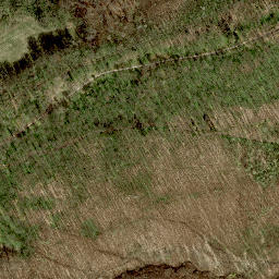 Satellite imagery of Exelberg, AT