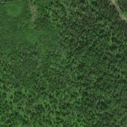 Satellite imagery of Silver Bluff, CA