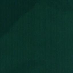 Satellite imagery of Springy Point, US