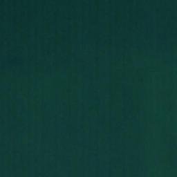 Satellite imagery of Springy Point, US