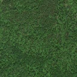 Satellite imagery of Silver Bluff, CA