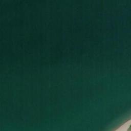 Satellite imagery of Springy Point, US