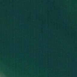 Satellite imagery of Springy Point, US