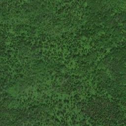 Satellite imagery of Silver Bluff, CA