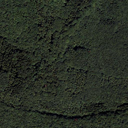 Satellite imagery of Höbersbachberg, AT
