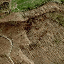 Satellite imagery of Hochbruckenberg, AT