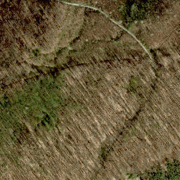 Satellite imagery of Steinerne Lahn, AT