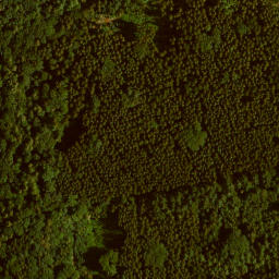 Satellite imagery of Reiser, DE