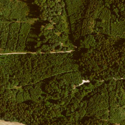 Satellite imagery of Lauterbacher Berg, DE