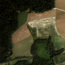 Satellite imagery of Ruine Weitenegg, AT