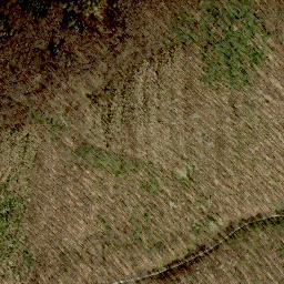 Satellite imagery of Hochbruckenberg, AT