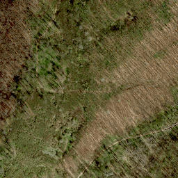 Satellite imagery of Steinerne Lahn, AT