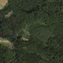 Satellite imagery of Frauenberg, AT